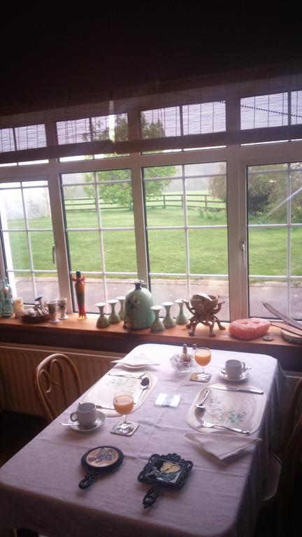 Aurora House Bed And Breakfast Athy Bagian luar foto